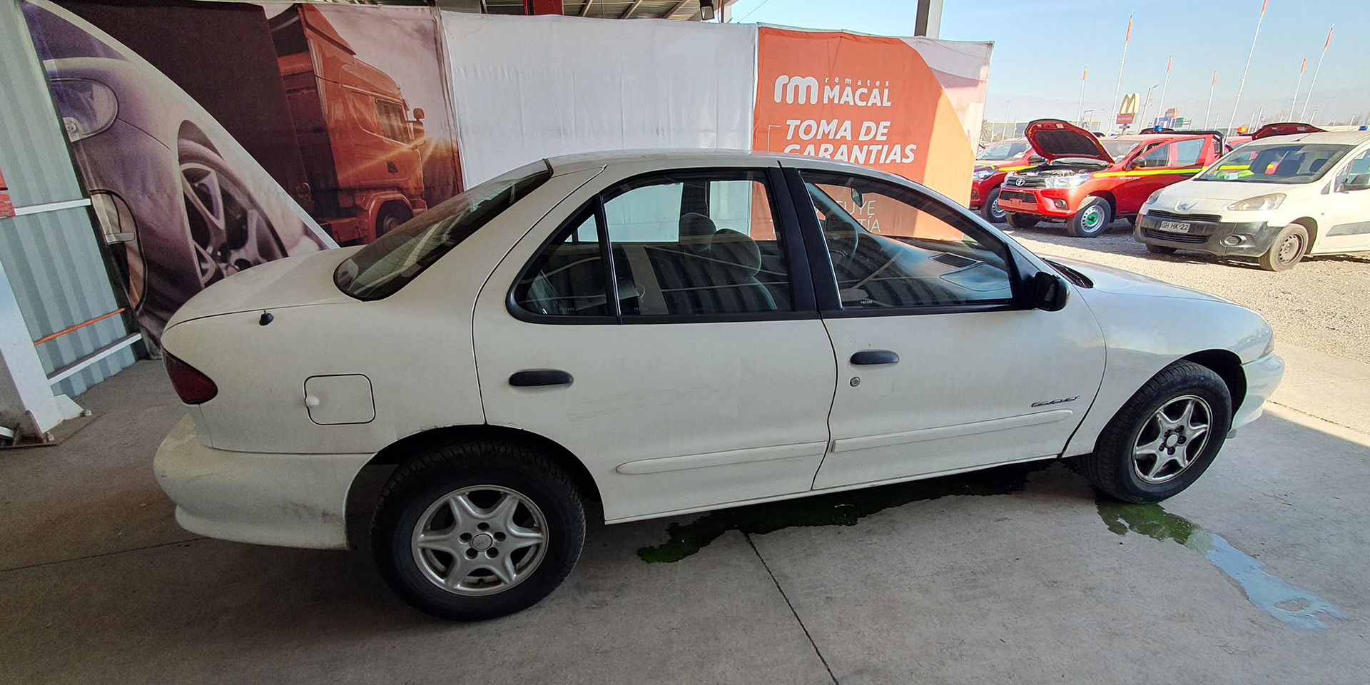 Miniatura 8