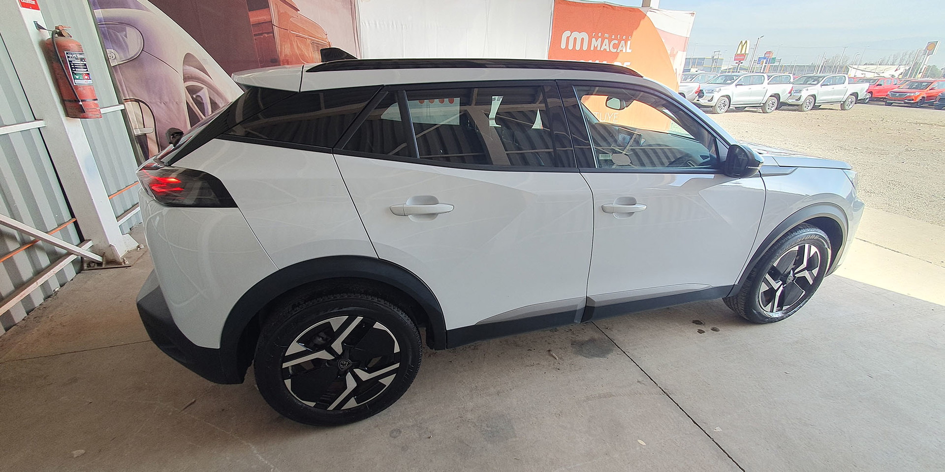 Miniatura 8