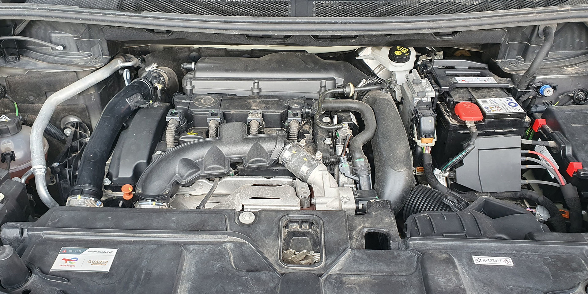 Miniatura 13