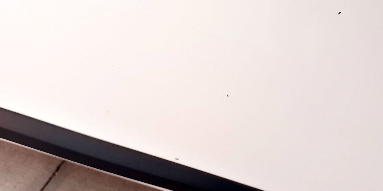 RENAULT MEGANE III - Imagen 31