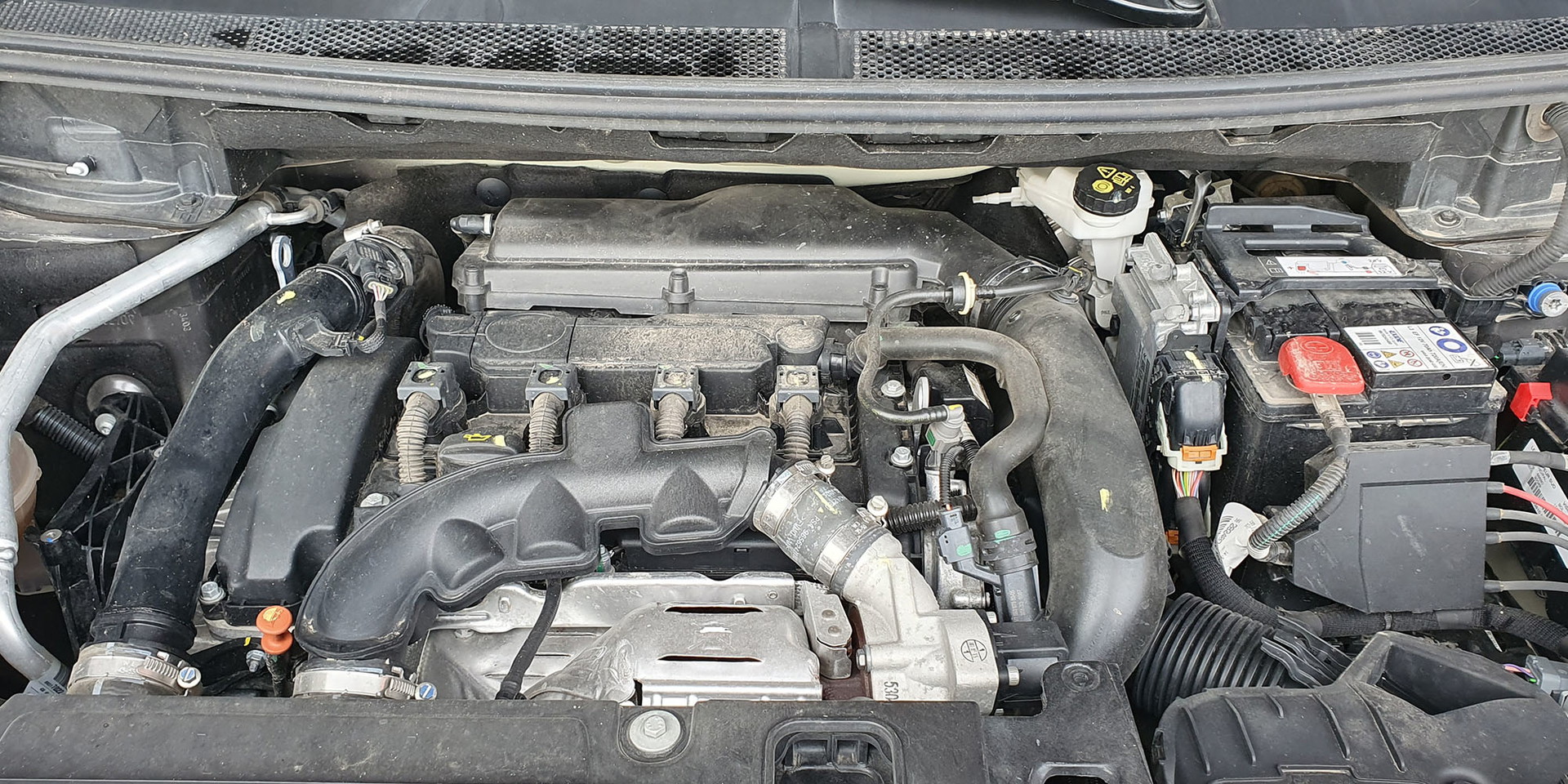 Miniatura 13
