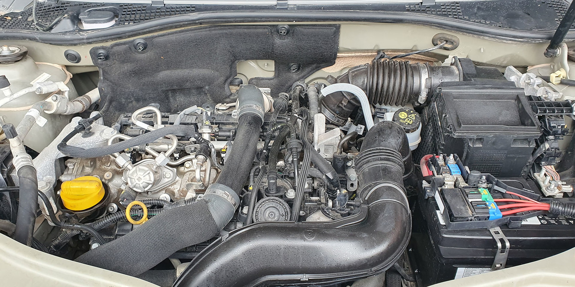 Miniatura 13