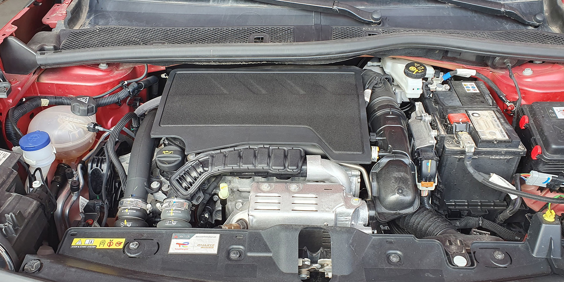 Miniatura 13