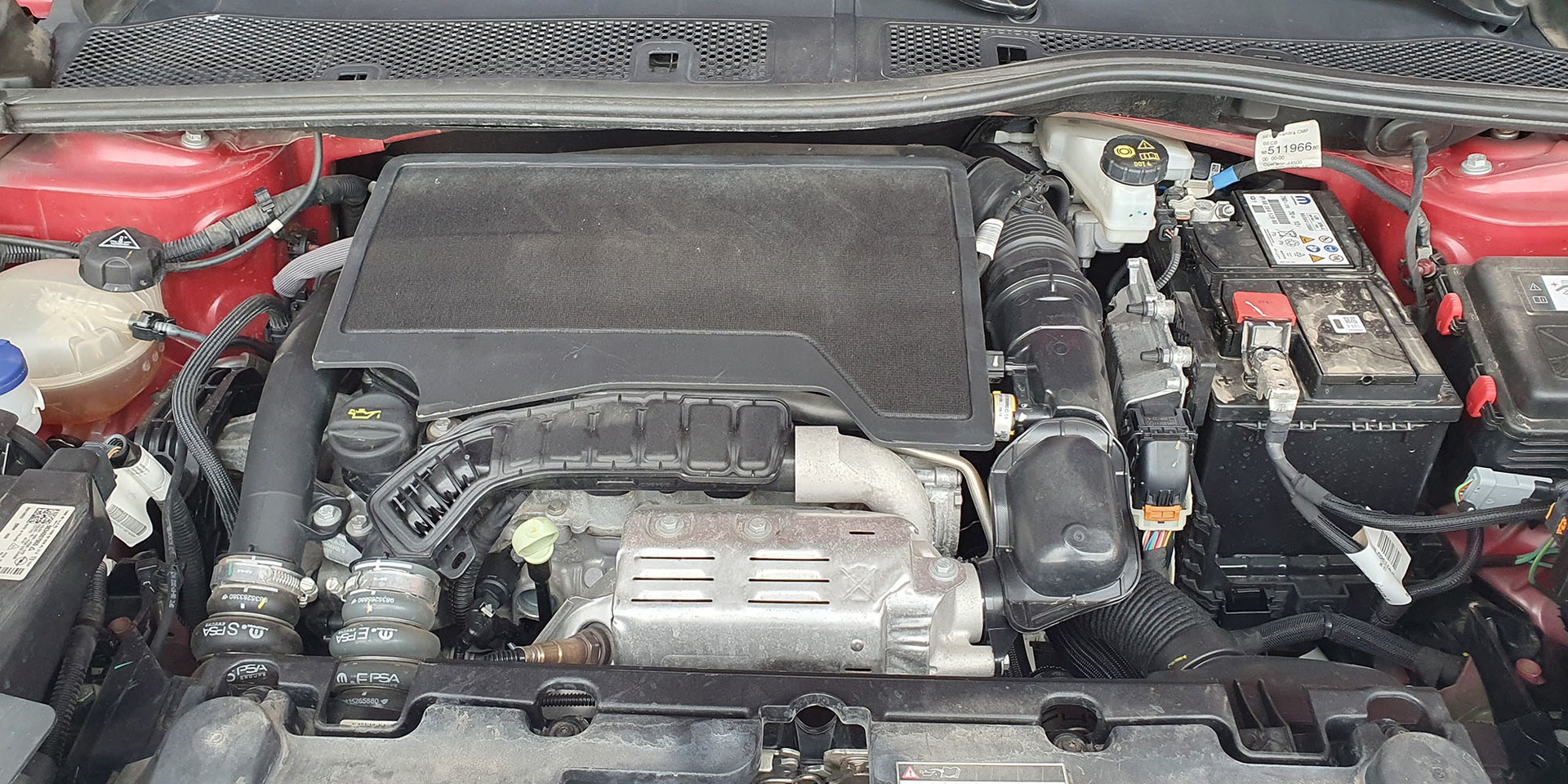 Miniatura 13