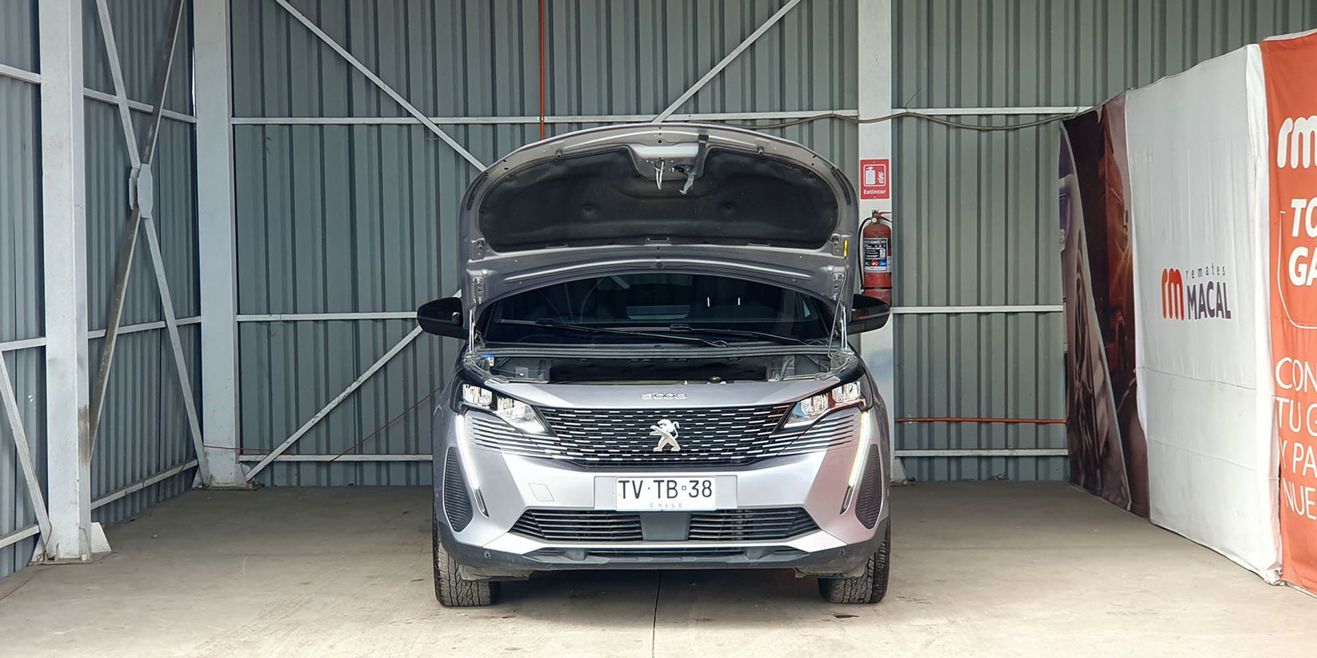 Miniatura 12
