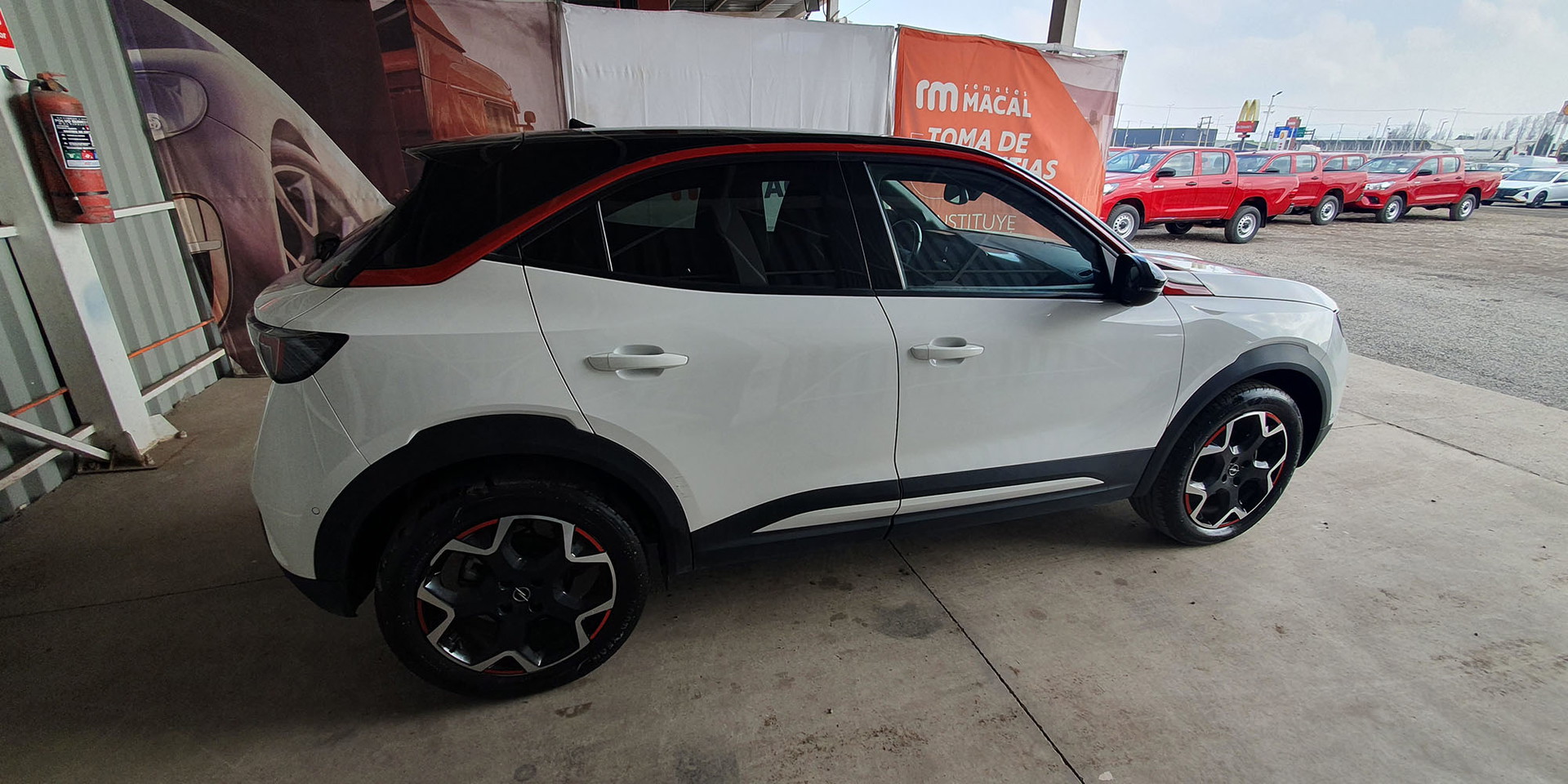 Miniatura 8