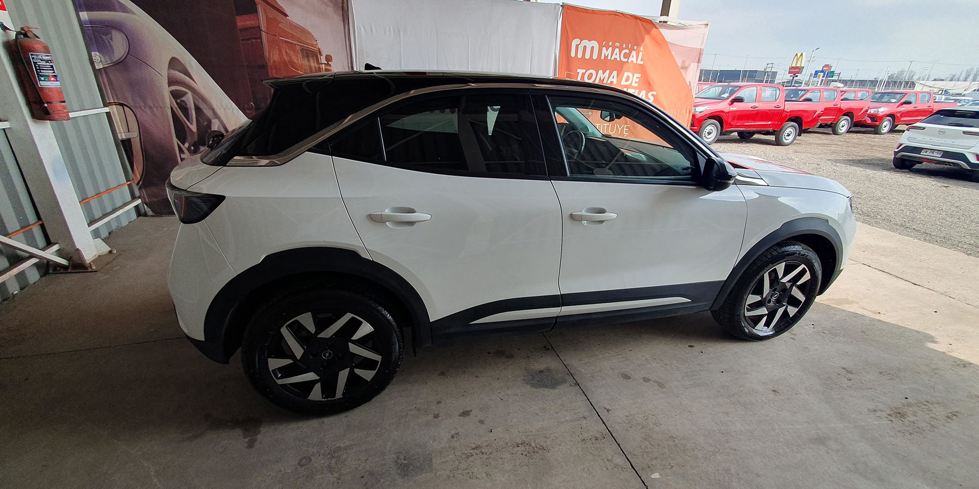 Miniatura 8