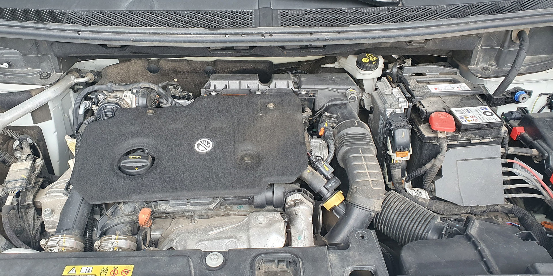 Miniatura 13
