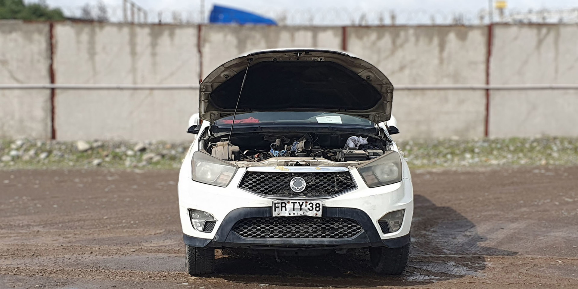 Miniatura 11