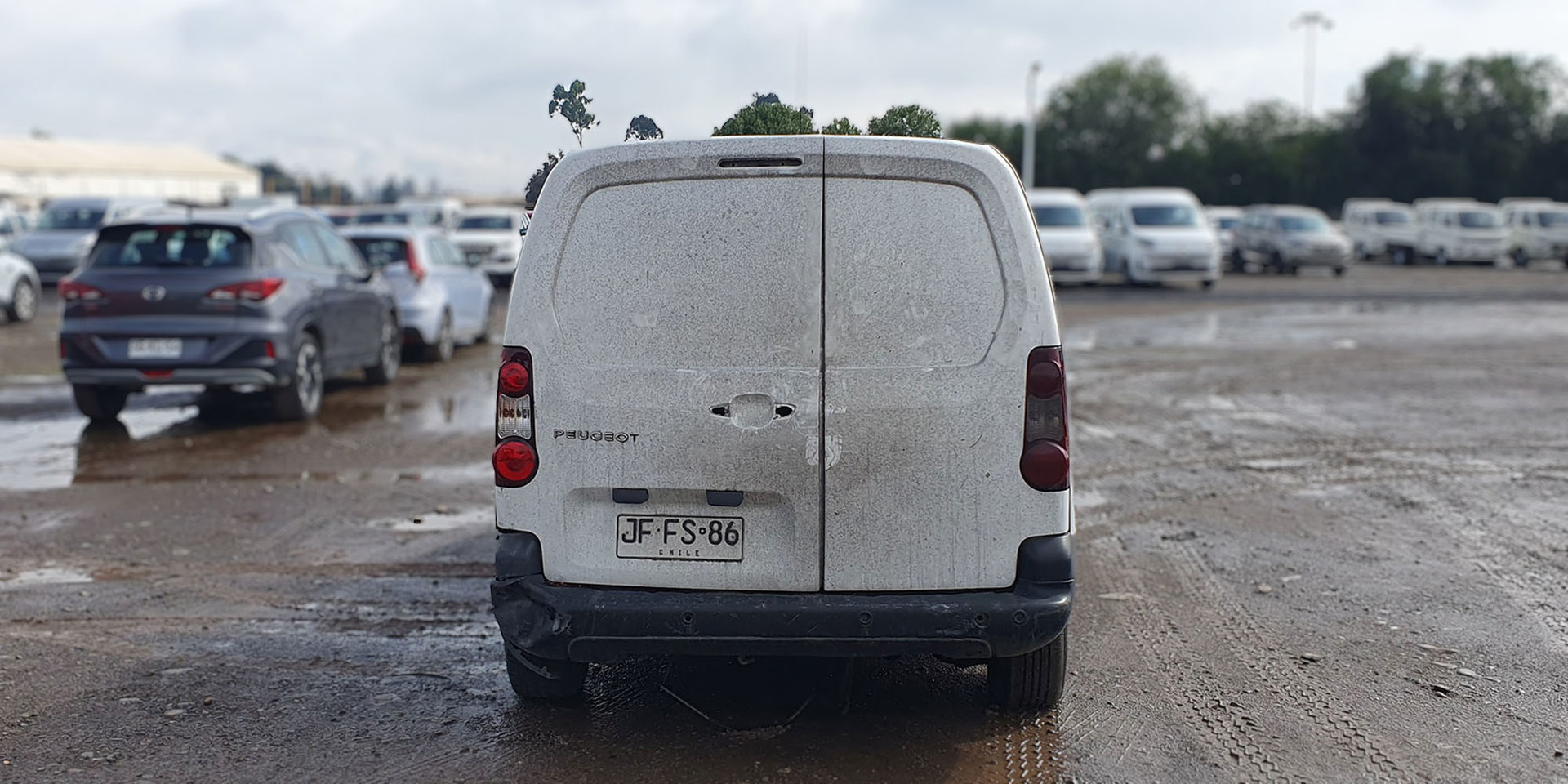 Miniatura 9