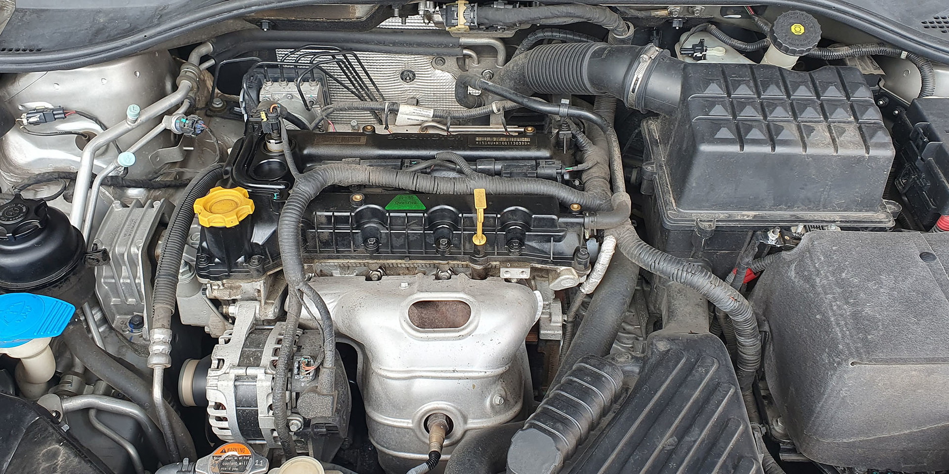 MG 350 - Imagen 13