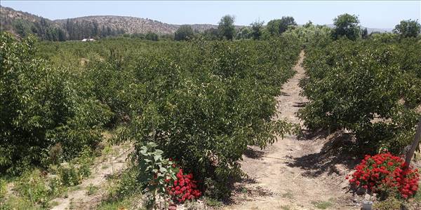 San Ramon de Puro, Lote C - Imagen 21