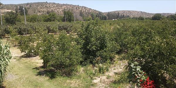 San Ramon de Puro, Lote C - Imagen 26