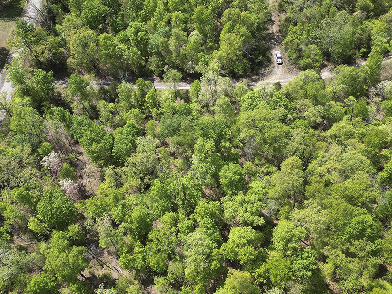 1702 S Plateau Drive, Horseshoe Bend, AR 72512 - Imagen 3