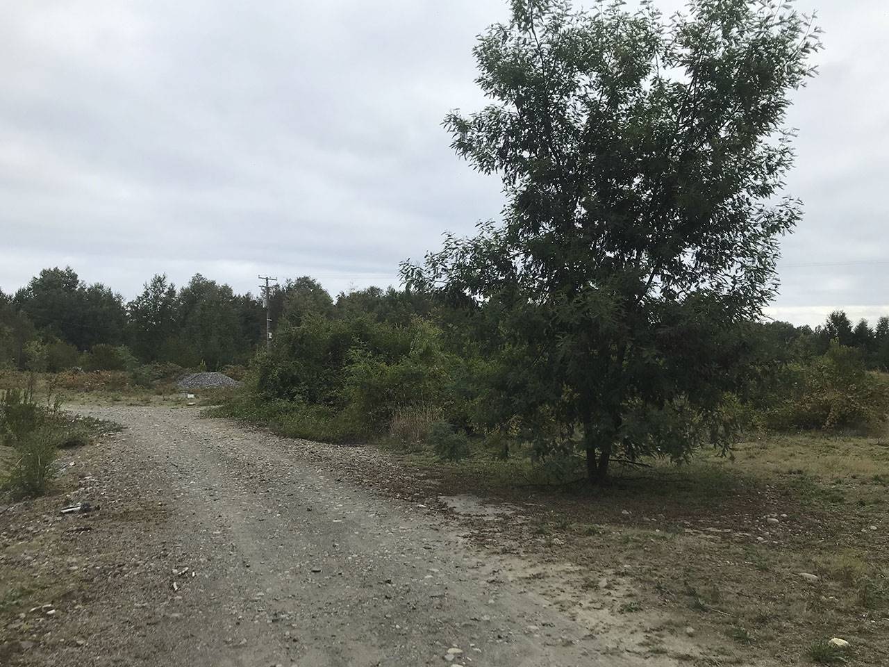 Pedregoso Lote D - 2 A1 - Imagen 19