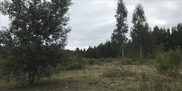 Pedregoso Lote D - 2 A1 - Imagen 29