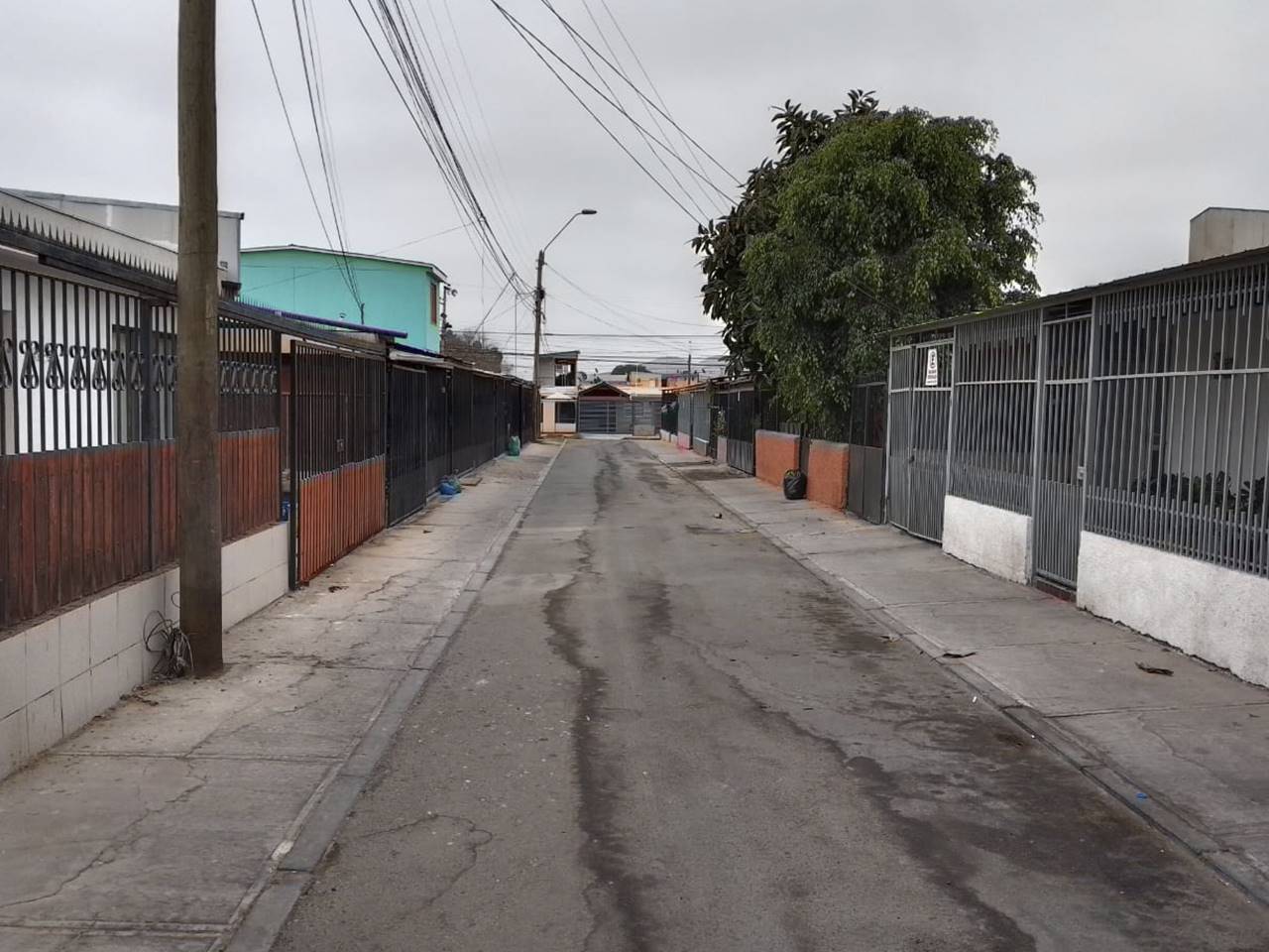Los Nardos 2651 - Imagen 13