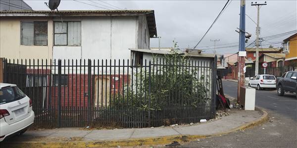 Salvador Allende 03 - Imagen 13