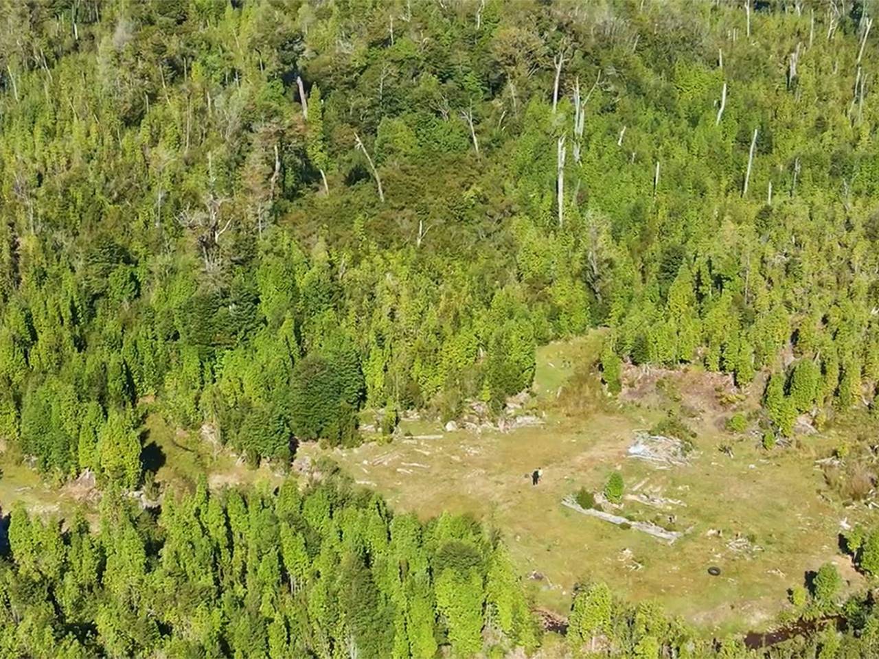 Molulco, Parcela 87 - Imagen 3