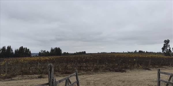 Fundo Santa Rosa, Lote 64-Y - Imagen 42