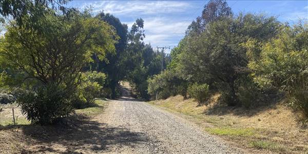 Fundo Santa Rosa, Lote 71-Y - Imagen 46