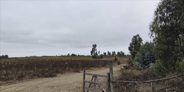 Fundo Santa Rosa, Lote 73-Y - Imagen 32