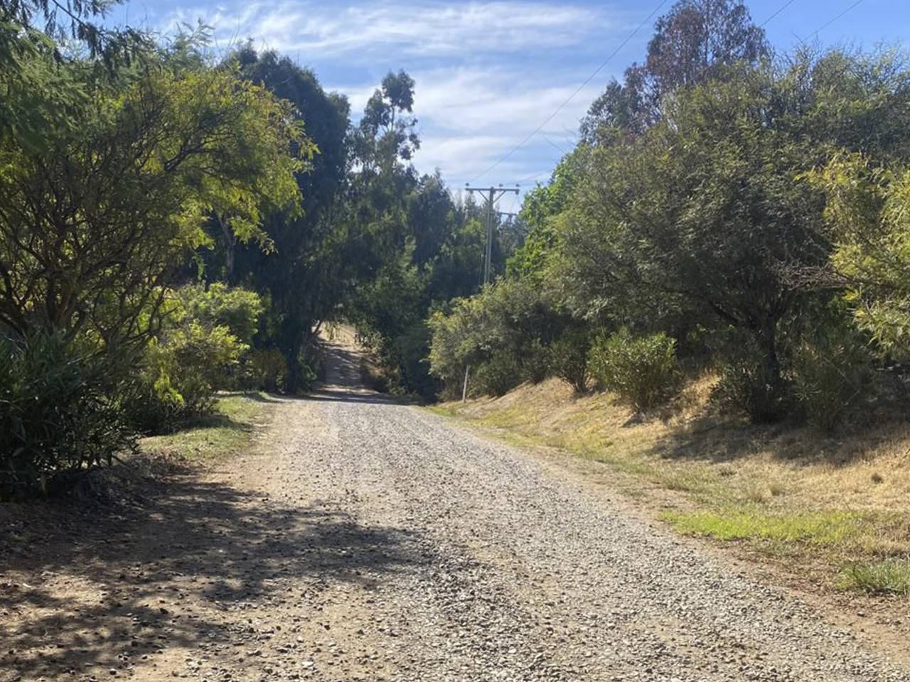 Fundo Santa Rosa, Lote 85-Y - Imagen 27