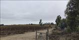 Fundo Santa Rosa, Lote 149-Y - Imagen 25