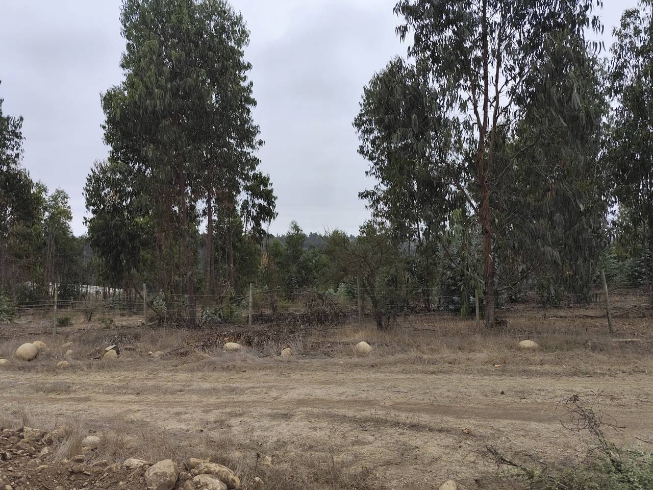 Fundo Santa Rosa, Lote 152-Y - Imagen 25