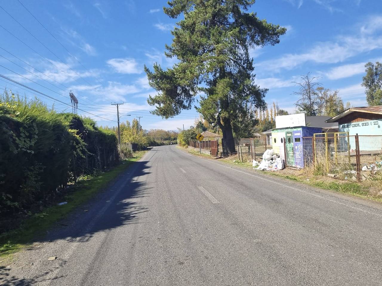 Las Rosas, Lote B - Imagen 5
