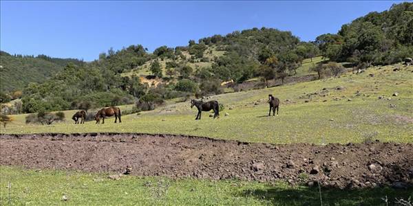 Hacienda Panama, Parcela 30 - 112 - Imagen 49