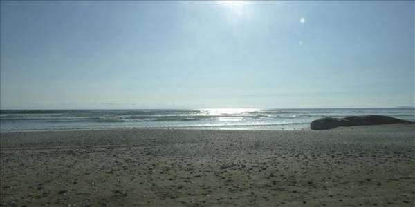 Fundo California, Parcela 48 - Imagen 14
