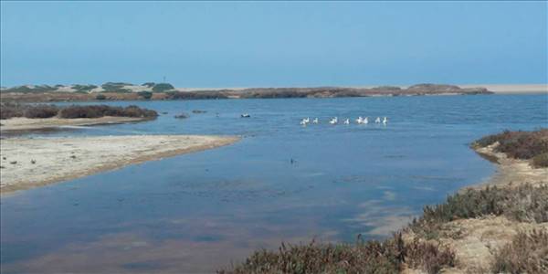 Fundo California, Parcela 48 - Imagen 16