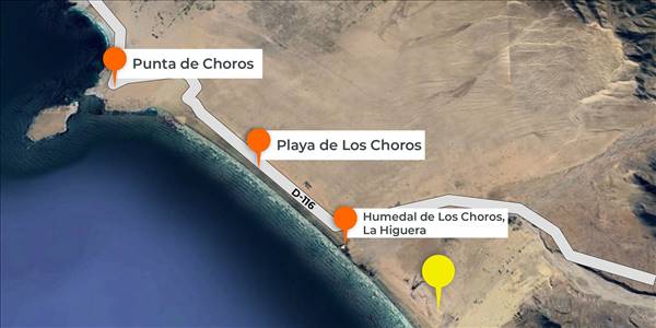 Fundo California, Parcela 48 - Imagen 20