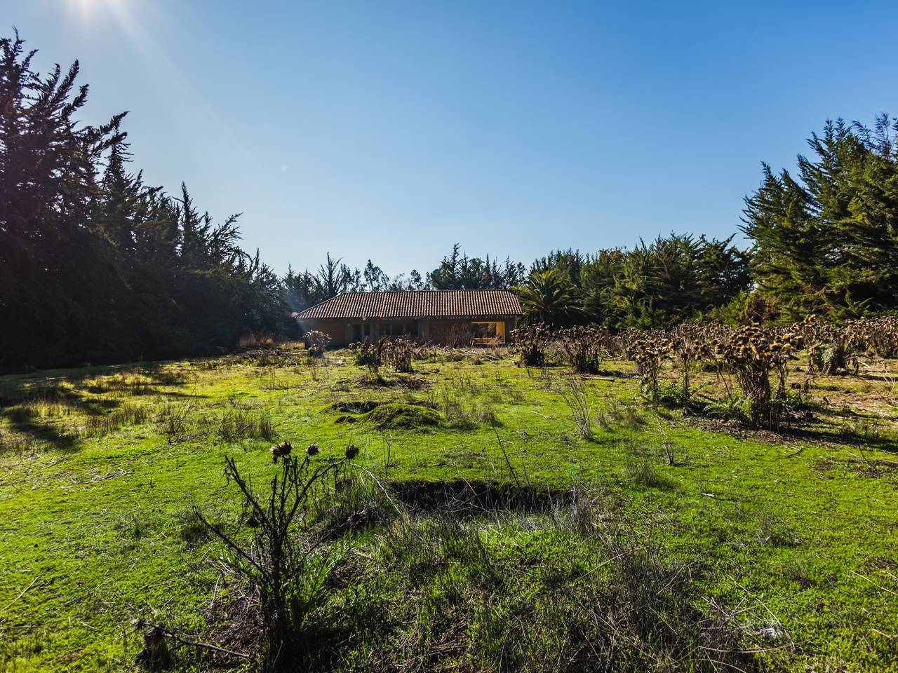 Camino Las Flores, Lote 21 - Imagen 43
