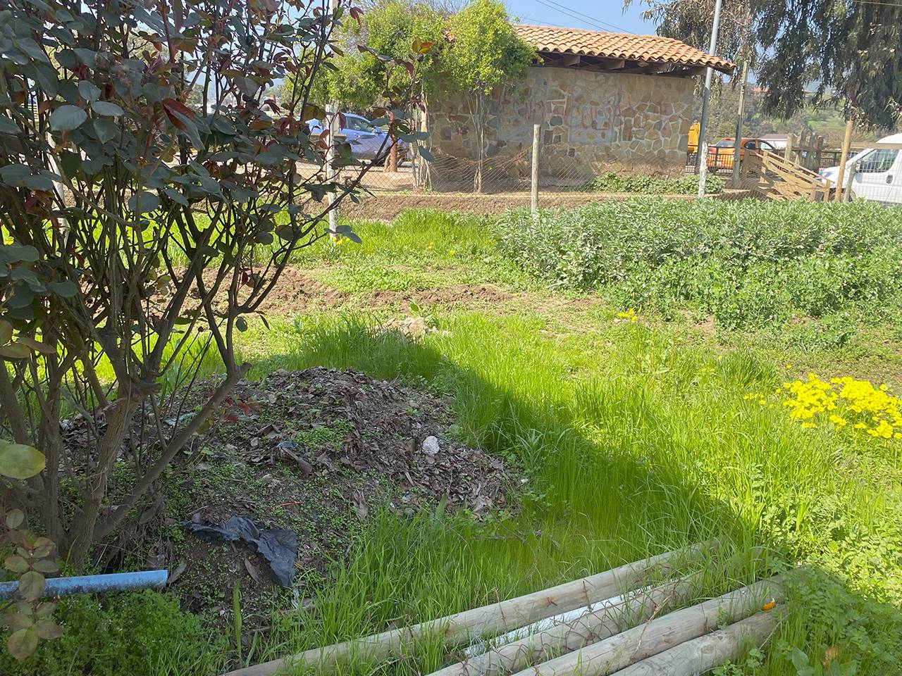 Los Alelies 800 - Imagen 10