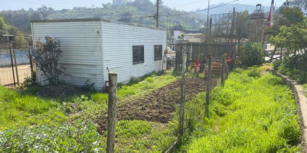 Los Alelies 800 - Imagen 24
