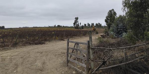 Fundo Santa Rosa, Lote 74-Y - Imagen 45
