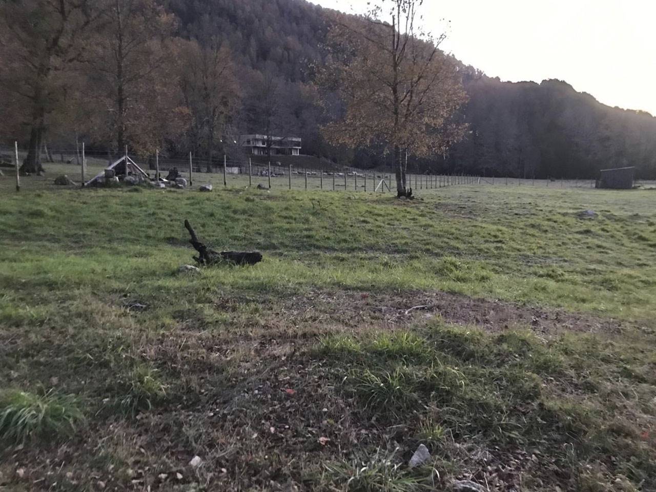 Camino Pucón - Huife Alto,  Lote 3-A3 - Imagen 10