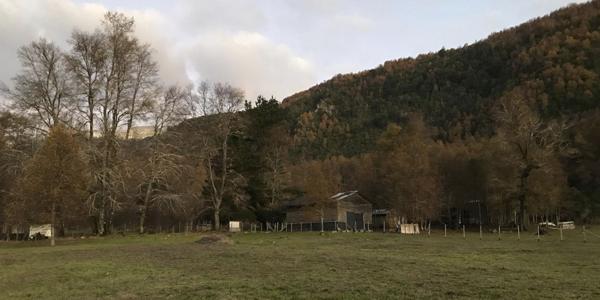Camino Pucón - Huife Alto,  Lote 3-A3 - Imagen 46