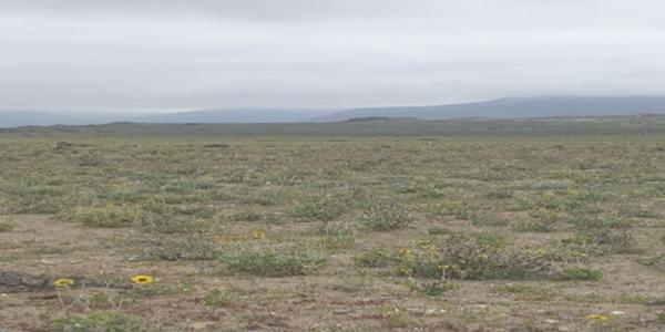 Fundo California, Parcela 41 - Imagen 3