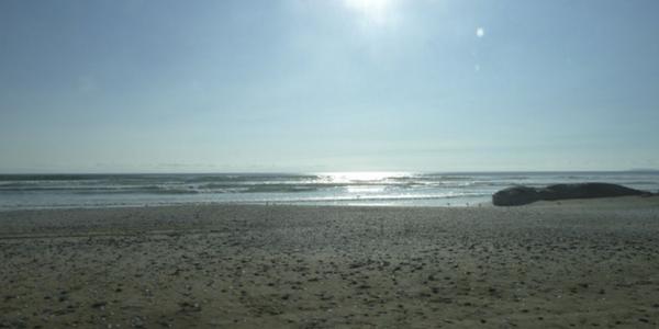 Fundo California, Parcela 41 - Imagen 5