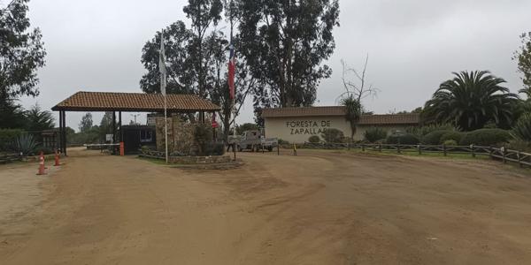 La Foresta Zapallar, Parcela E-1 - Imagen 3