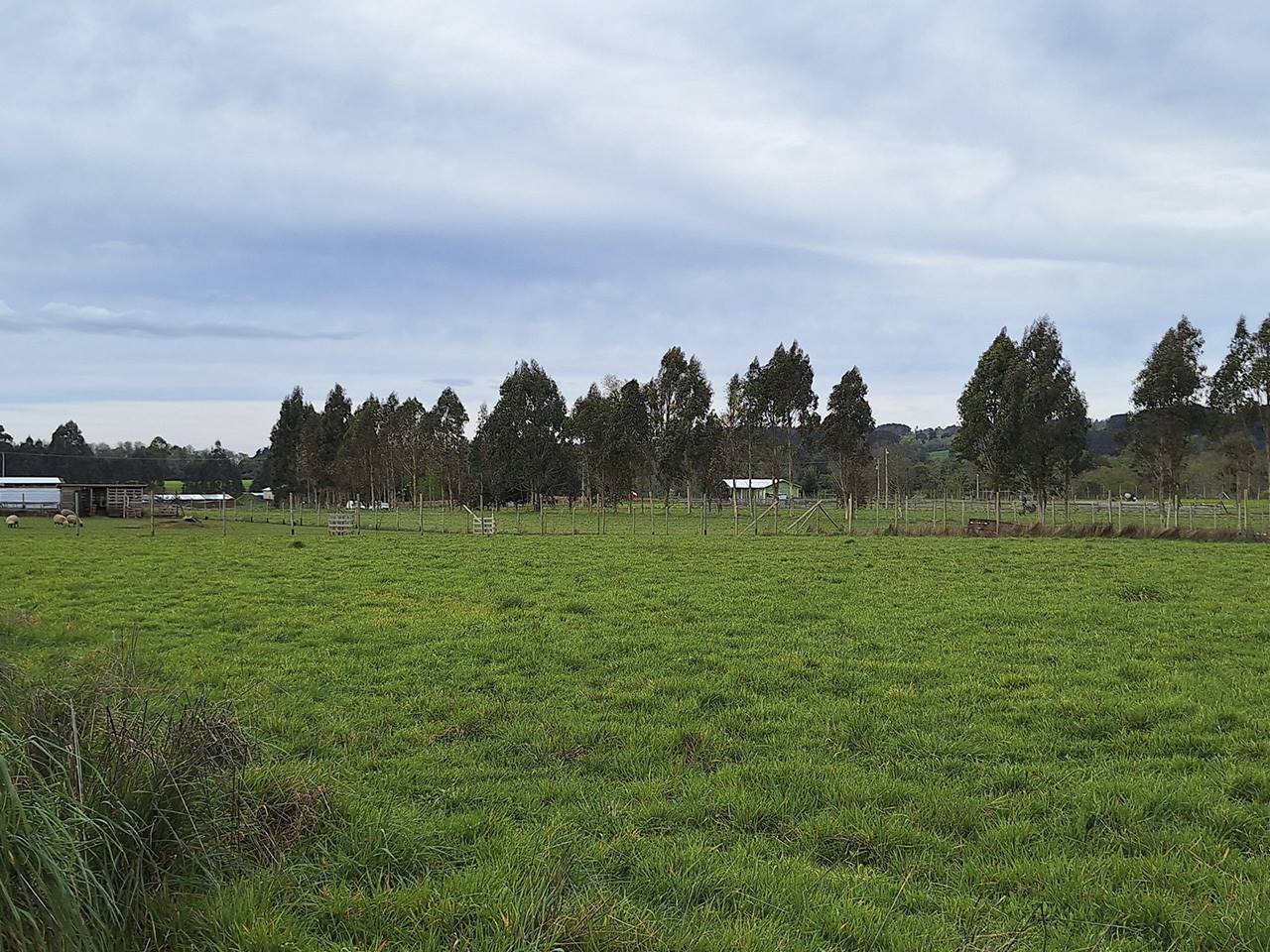 Los Abedules, Lote 7 - Imagen 4