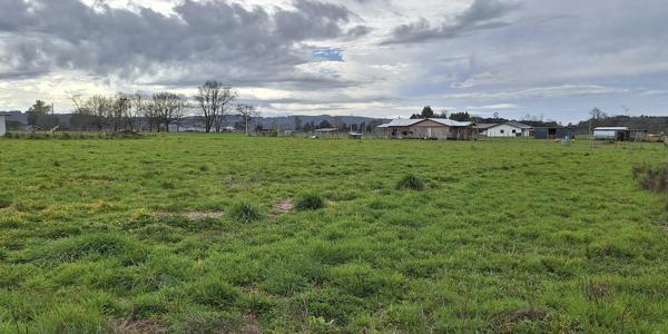 Los Abedules, Lote 7 - Imagen 15