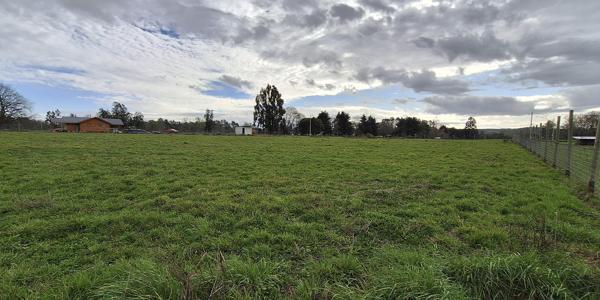 Los Abedules, Lote 7 - Imagen 20