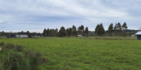 Los Abedules, Lote 7 - Imagen 22