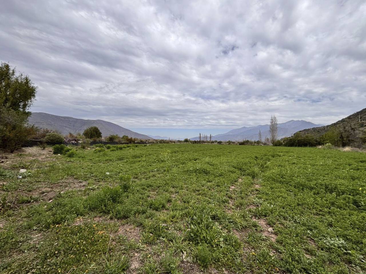 Parcelación El Tártaro Lo Vicuña Lote A-1, Parcela 101 - Imagen 2