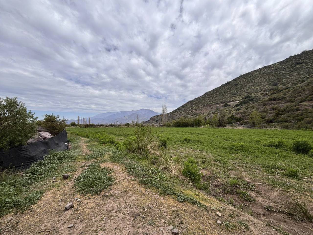 Parcelación El Tártaro Lo Vicuña Lote A-1, Parcela 101 - Imagen 5
