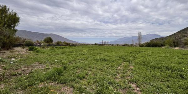 Parcelación El Tártaro Lo Vicuña Lote A-1, Parcela 101 - Imagen 9